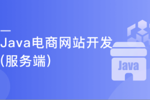 从0开始 独立完成企业级Java电商网站开发(服务端)（完结）