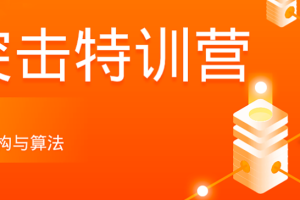 拉钩-算法突击特训营3期|2022最新（完结）