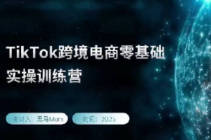 黑马TikTok跨境电商实操训练营，tiktok跨境电商教程