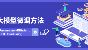 领域大模型微调案例课