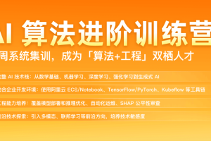 极客 AI算法进阶训练营（包更新）